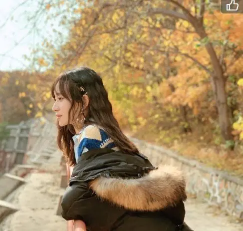 img, 岁周蕾已独 img, 岁周蕾已独